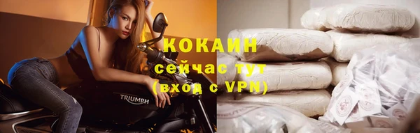 винт Горняк