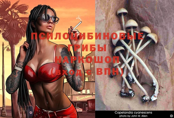 мдма Горнозаводск