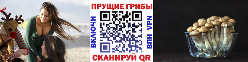 Галлюциногенные грибы мицелий  Купить где  Козловка 